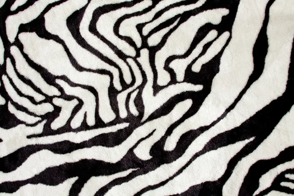 Siyah ve beyaz zebra dokusu — Stok fotoğraf