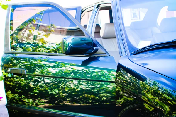 Ángulo de tiro de un coche con reflejo de hierbas — Foto de Stock