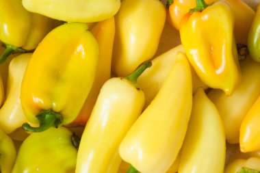 arka plan sarı biber