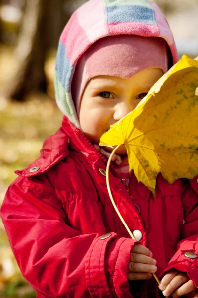 Barnet håller höstens löv — Stockfoto
