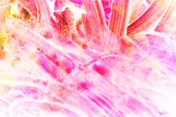Vit och rosa abstrakt bakgrund — Stockfoto