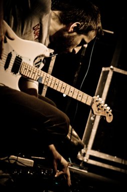 adamkırmızı deri fıstık, yakın çekim