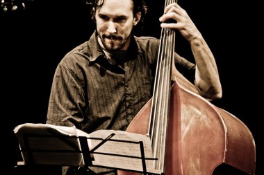 adamkırmızı deri fıstık, yakın çekim