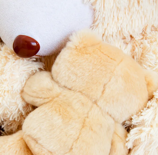 Nahaufnahme von zwei Teddybären, die sich umarmen — Stockfoto