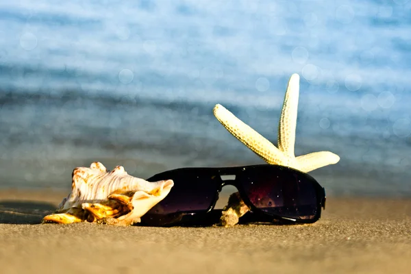 Seestern und Sonnenbrillen am Strand — Stockfoto