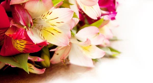 Närbild av färska liljor boquet — Stockfoto