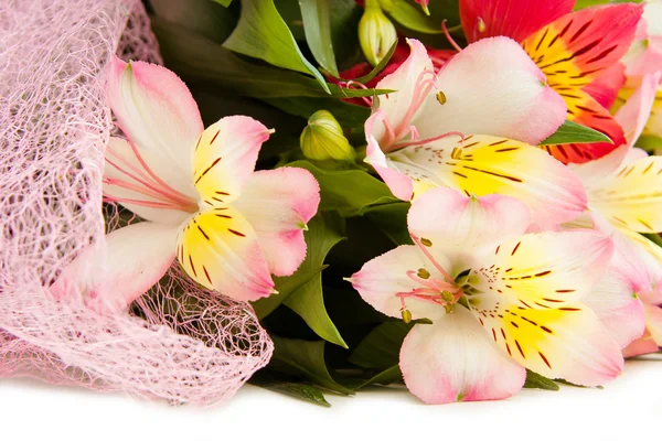 Bouquet of fresh lilies — Stock Photo, Image