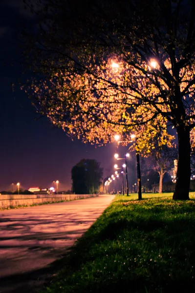 Estrada no parque à noite — Fotografia de Stock