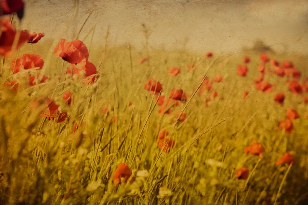 Campo de amapola en papel viejo estilo retro — Foto de Stock