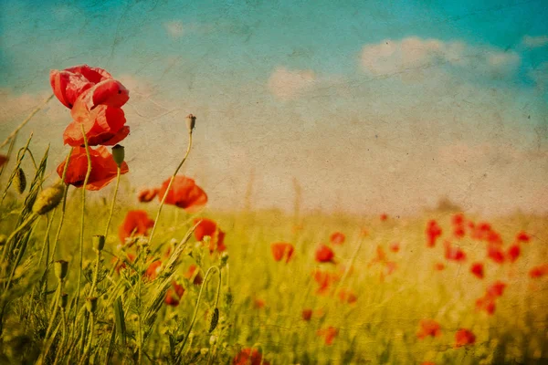 Camino en el campo de amapola en el viejo estilo retro de papel — Foto de Stock