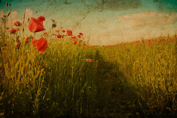 path in poppy field in old paper retro style