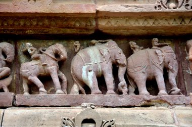 atlar ve filler savaş alanında