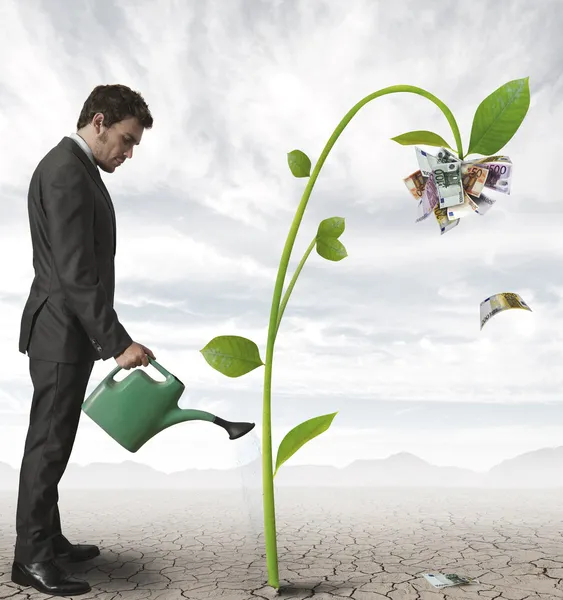 işadamı ve para işletmesi