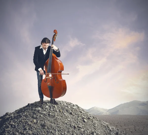 Musician playing bass — Stock Photo, Image