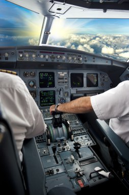 Uçak pilotu