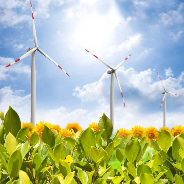 Wind turbine fältet — Stockfoto