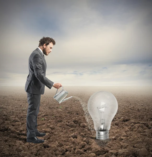 Cultivate an idea — Stock Photo, Image