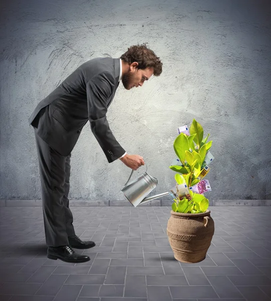 Businessman with a plant of money — Stock Photo, Image