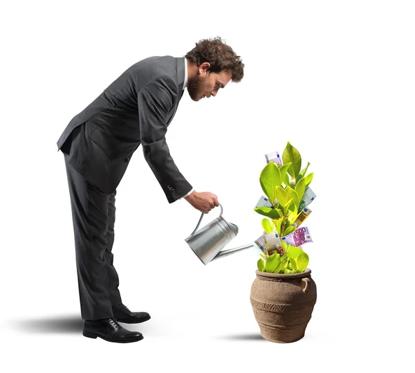 Podnikatel s rostlinou peníze — Stock fotografie