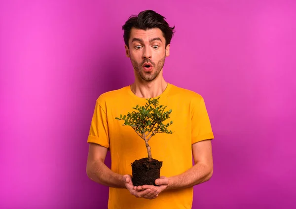 El hombre sostiene y cuida de un pequeño árbol —  Fotos de Stock