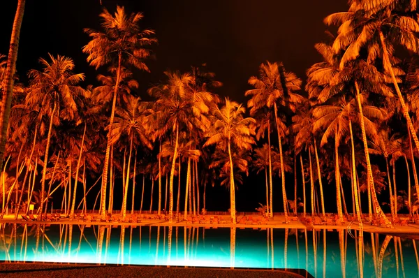 Natt belysning av pool och palmer på lyxhotell, b — Stockfoto