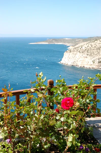 View from terrace with rose plants on turquoise lagoon of Aegean