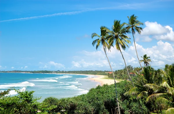 Strand, Palmen und türkisfarbenes Wasser des Indischen Ozeans, Bentota, Sri Lanka — Stockfoto