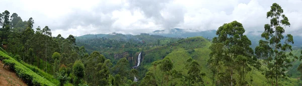 The panorama of tea plantations and waterfall in Nuwara Eliya, S — Stock Photo, Image