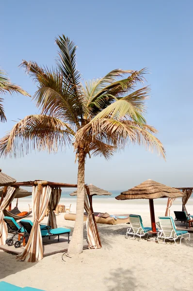 Beach of the luxury hotel, Ajman, UAE — Stock Photo, Image