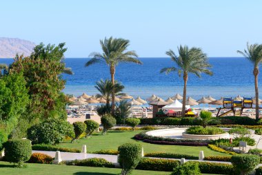 Lüks otelin kumsalı, Sharm el Sheikh, Mısır
