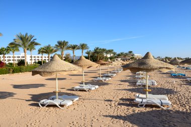 Lüks otelin kumsalı, Sharm el Sheikh, Mısır