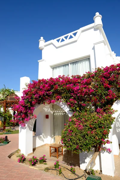 Decorazione villa presso l'hotel di lusso, Sharm el Sheikh, Egitto — Foto Stock