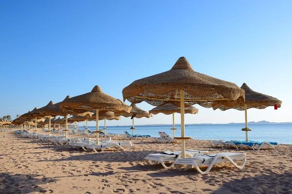 Playa en el hotel de lujo, Sharm el Sheikh, Egipto —  Fotos de Stock