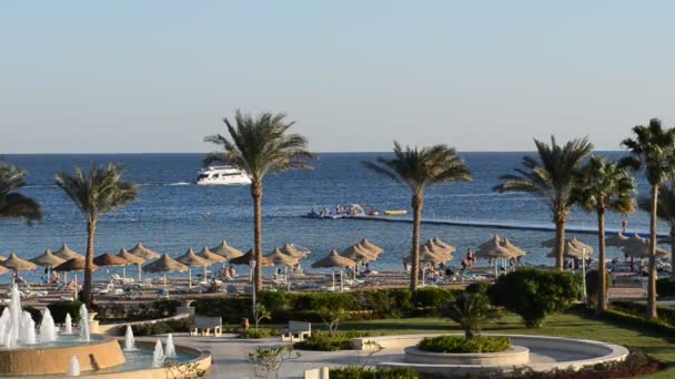 Lo yacht a motore vicino alla spiaggia presso l'hotel di lusso, Sharm el Sheikh, Egitto — Video Stock