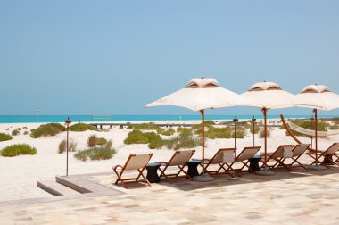 şezlong ve şemsiyeleri sahilde lüks hotel, abu dhabi, u