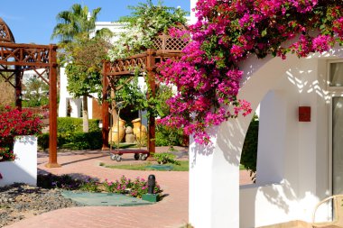 Villa dekorasyon luxury hotel, sharm el sheikh, Mısır