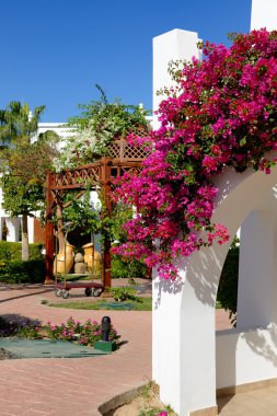 Villa dekorasyon luxury hotel, sharm el sheikh, Mısır