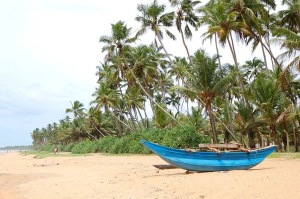 伝統的なスリランカのボートはビーチで釣り — ストック写真