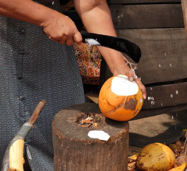 코코넛 나무, 스리랑카의 과일을 판매 하는 여자 — 스톡 사진