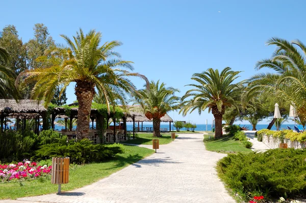 Camino a la playa en el hotel de lujo, Halkidiki, Grecia — Foto de Stock