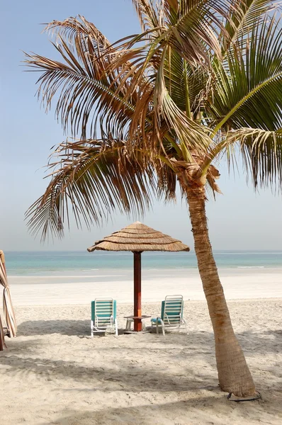 Beach of the luxury hotel, Ajman, UAE — Stock Photo, Image