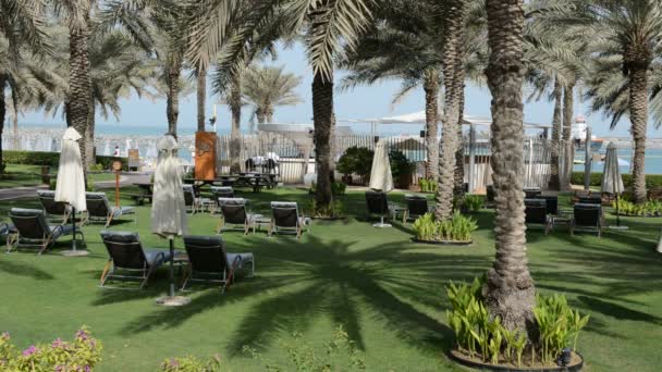 日光浴床上绿色草坪和棕榈树的阴影在豪华酒店，迪拜，阿联酋 — 图库视频影像
