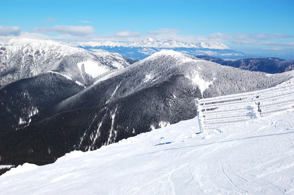 Free ride area on Chopok in Jasna ski resort, Low Tatras, Slovak — Stock Photo, Image