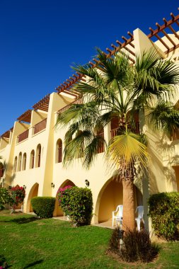 lüks hotel, sharm el sheik bina ve rekreasyon alanı