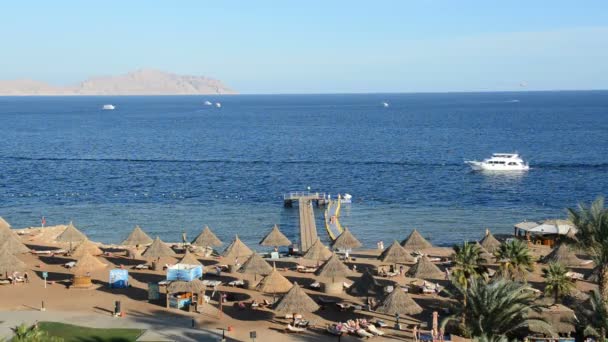 在豪华的酒店、 沙姆沙伊赫、 埃及海滩附近的马达游艇 — 图库视频影像