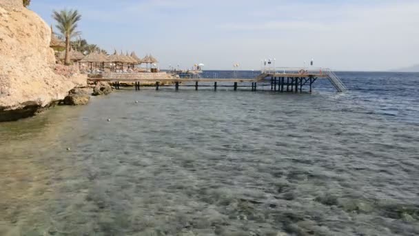 Lüks otelin kumsalı, Sharm el Sheikh, Mısır — Stok video