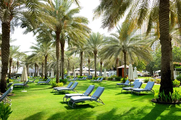Sonnenliegen auf dem grünen Rasen und Palmenschatten im Luxushotel, — Stockfoto