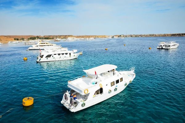 Yachts à moteur sur la mer Rouge dans le port, Sharm el Sheikh, Egypte — Photo