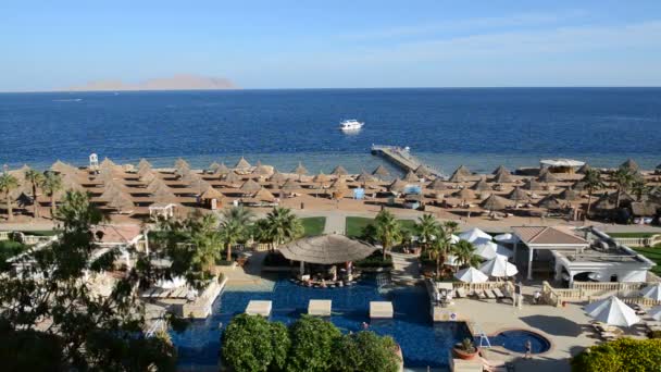 고급 호텔, 샤 름 엘 셰이크, 이집트에서 비치 근처 수영장 — 비디오