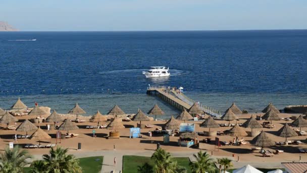 Le yacht à moteur près de la plage à l'hôtel de luxe, Sharm el Sheikh, Egypte — Video